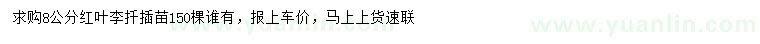 求購8公分紅葉李