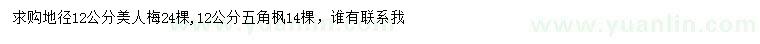求購(gòu)地徑12公分美人梅、五角楓