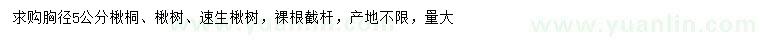 求購楸桐、楸樹、速生楸樹