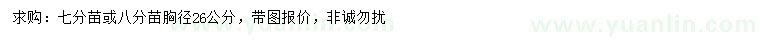 求購(gòu)胸徑26公分無(wú)患子