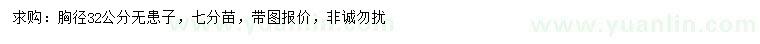 求購胸徑32公分無患子