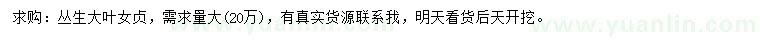 求購叢生大葉女貞