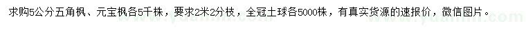 求購5公分五角楓、元寶楓