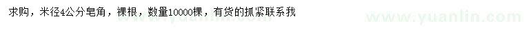 求購米徑4公分皂角