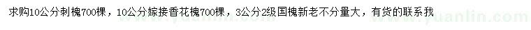 求購(gòu)刺槐、香花槐、國(guó)槐