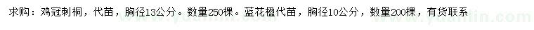 求購(gòu)胸徑13公分雞冠刺桐、10公分藍(lán)花楹