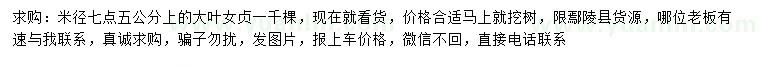 求購米徑7.5公分上大葉女貞