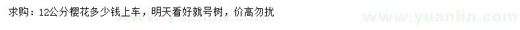 求購12公分櫻花