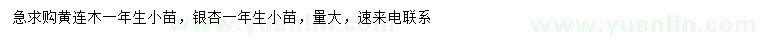 求購(gòu)一年生黃連木小苗、銀杏小苗