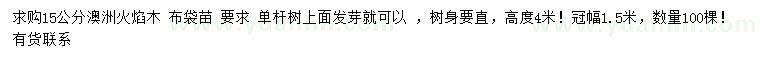 求購15公分澳洲火焰木