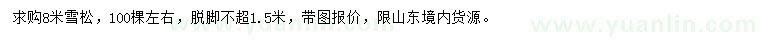 求購8米雪松