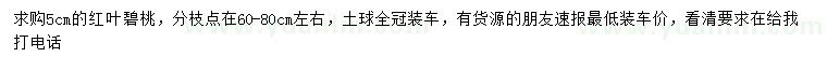 求購5公分紅葉碧桃