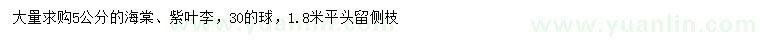 求購5公分海棠、紫葉李