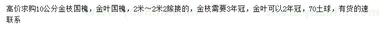 求購(gòu)10公分金枝國(guó)槐、金葉國(guó)槐