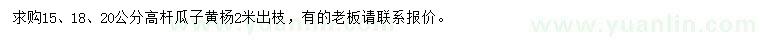 求購15、18、20公分高桿瓜子黃楊