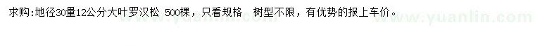 求購(gòu)30量12公分大葉羅漢松