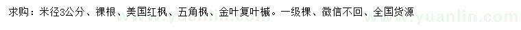 求購美國紅楓、五角楓、金葉復(fù)葉槭