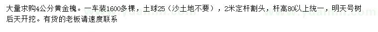 求購4公分黃金槐