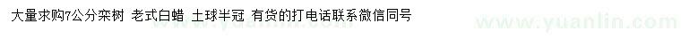 求購7公分欒樹、老式白蠟