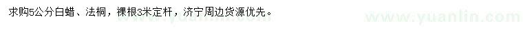 求購(gòu)5公分白蠟、法桐
