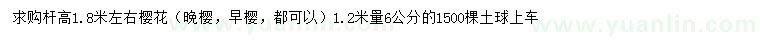 求購1.2米量6公分櫻花