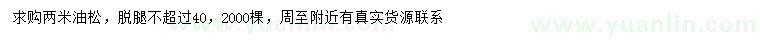求購(gòu)2米油松