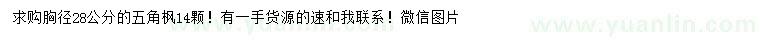 求購(gòu)胸徑28公分五角楓