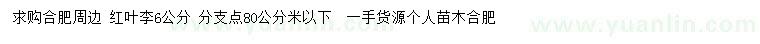 求購6公分紅葉李
