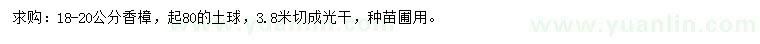 求購18-20公分香樟