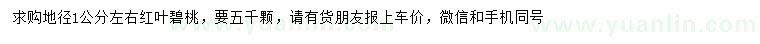 求購(gòu)地徑1公分左右紅葉碧桃