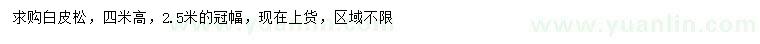 求購高4米白皮松