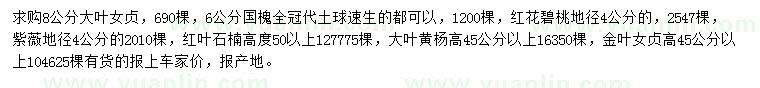 求購大葉女貞、國槐、碧桃等