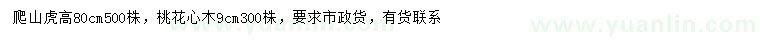 求購(gòu)高80公分爬山虎、9公分桃花心木