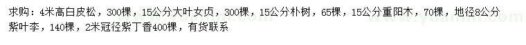 求購白皮松、大葉女貞、重陽木等