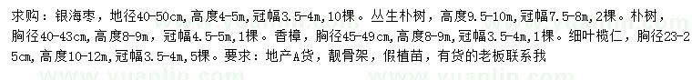 求購銀海棗、叢生樸樹、樸樹等