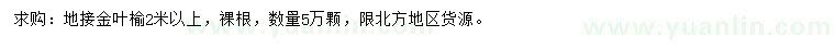 求購(gòu)2米以上金葉榆