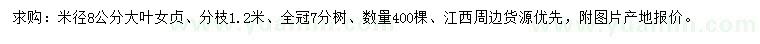求購米徑8公分大葉女貞