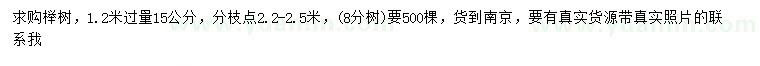 求購1.2米過量15公分櫸樹