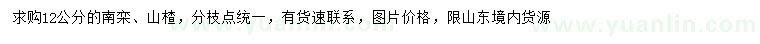 求購12公分南欒、山楂