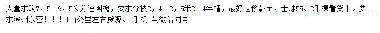 求購7.5-9.5公分速國槐