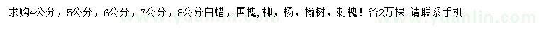 求購白蠟、國槐、柳樹等