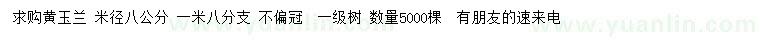 求購(gòu)米徑8公分黃玉蘭