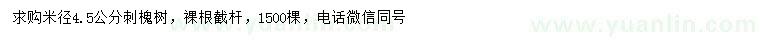 求購米徑4.5公分刺槐