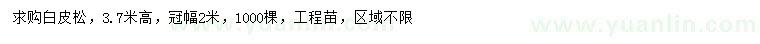 求購(gòu)高3.7米白皮松