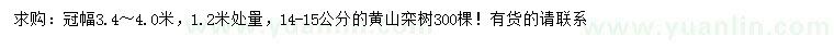求購1.2米量14-15公分黃山欒