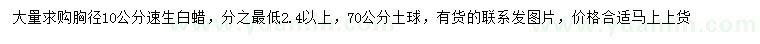 求購胸徑10公分速生白蠟