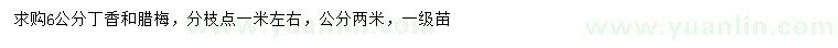 求購6公分丁香、臘梅
