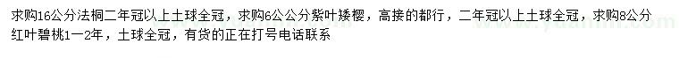 求購法桐、紫葉矮櫻、紅葉碧桃
