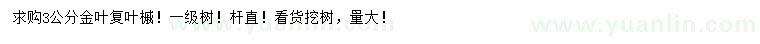 求購3公分金葉復(fù)葉槭