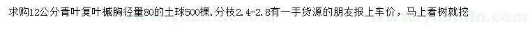 求購(gòu)胸徑量12公分青葉復(fù)葉槭